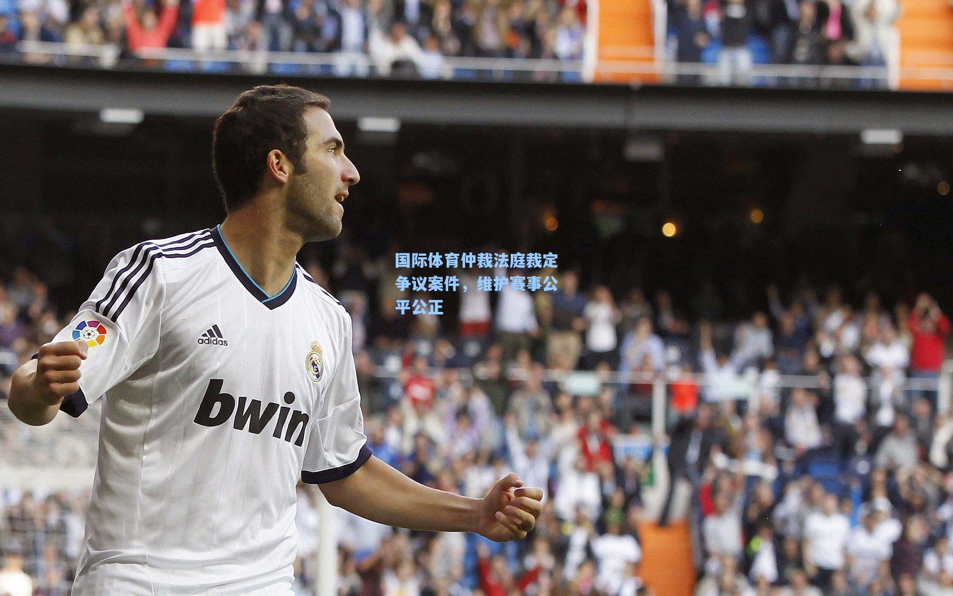 国际体育仲裁法庭裁定争议案件，维护赛事公平公正
