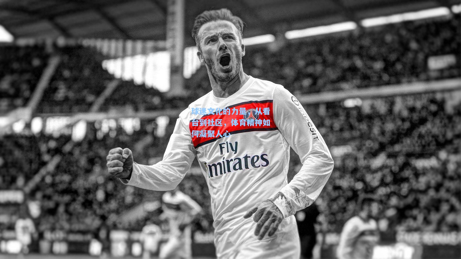 球迷文化的力量，从看台到社区，体育精神如何凝聚人心